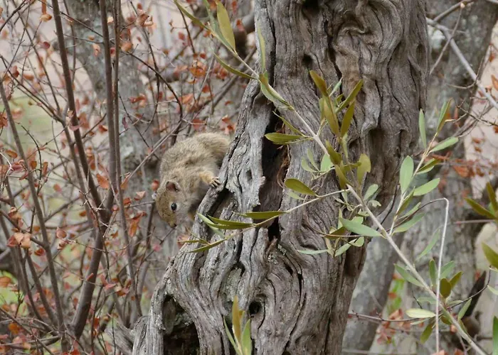 Morokolo Safari Lodge Self-Catering